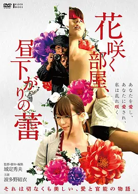 雾港迷踪高清电影手机免费在线观看